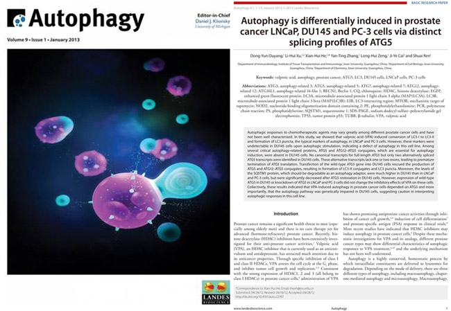 我院何贤辉和欧阳东云研究小组在《Autophagy》发表最新研究成果